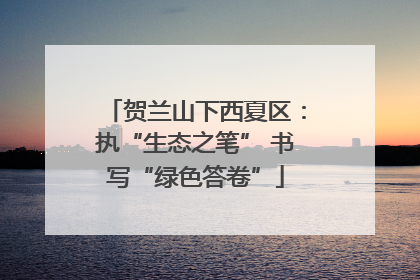 贺兰山下西夏区：执“生态之笔” 书写“绿色答卷”