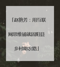 赵艳芳：用互联网思维铺就固阳县乡村助农路