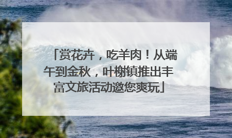 赏花卉，吃羊肉！从端午到金秋，叶榭镇推出丰富文旅活动邀您爽玩
