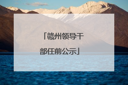 赣州领导干部任前公示