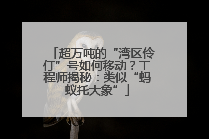 超万吨的“湾区伶仃”号如何移动？工程师揭秘：类似“蚂蚁托大象”