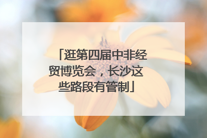 逛第四届中非经贸博览会，长沙这些路段有管制