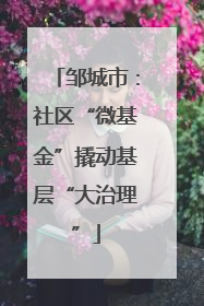 邹城市：社区“微基金”撬动基层“大治理”