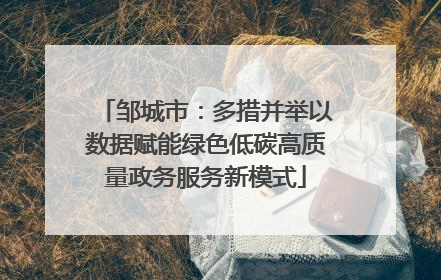 邹城市：多措并举以数据赋能绿色低碳高质量政务服务新模式