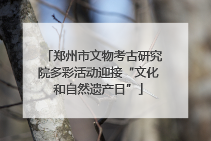 郑州市文物考古研究院多彩活动迎接“文化和自然遗产日”
