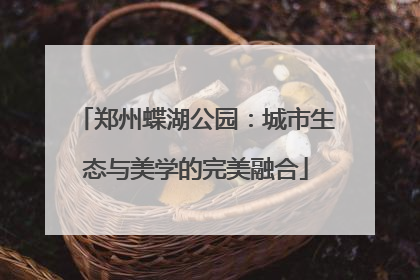 郑州蝶湖公园：城市生态与美学的完美融合