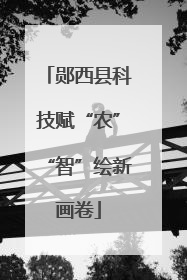 郧西县科技赋“农”“智”绘新画卷