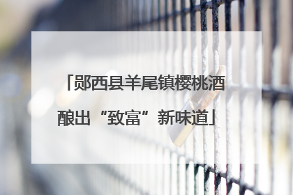 郧西县羊尾镇樱桃酒酿出“致富”新味道
