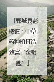 鄄城县彭楼镇：中草药种植打造致富“金钥匙”