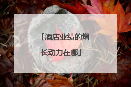 酒店业绩的增长动力在哪