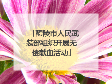 醴陵市人民武装部组织开展无偿献血活动