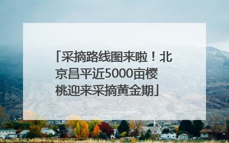 采摘路线图来啦！北京昌平近5000亩樱桃迎来采摘黄金期