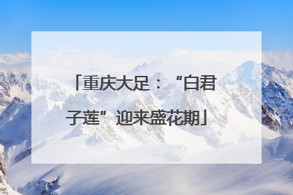 重庆大足：“白君子莲”迎来盛花期