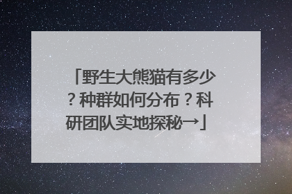 野生大熊猫有多少？种群如何分布？科研团队实地探秘→