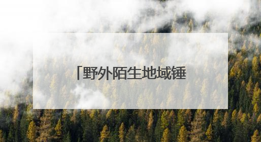 野外陌生地域锤炼实战硬功，南岳区民兵应急分队野外综合演练举行