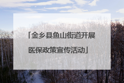 金乡县鱼山街道开展医保政策宣传活动