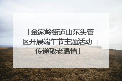 金家岭街道山东头管区开展端午节主题活动 传递敬老温情