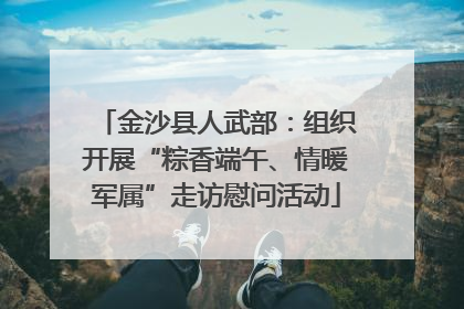 金沙县人武部：组织开展“粽香端午、情暖军属”走访慰问活动