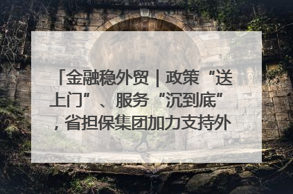 金融稳外贸｜政策“送上门”、服务“沉到底”，省担保集团加力支持外经贸高质量发展