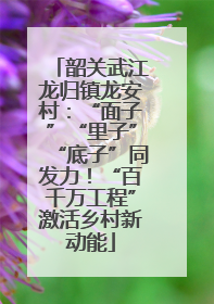 韶关武江龙归镇龙安村：“面子”“里子”“底子”同发力！“百千万工程”激活乡村新动能