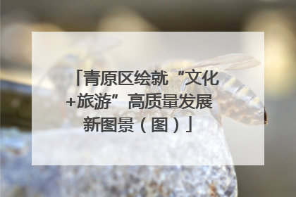青原区绘就“文化+旅游”高质量发展新图景（图）