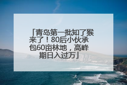 青岛第一批知了猴来了！80后小伙承包60亩林地，高峰期日入过万