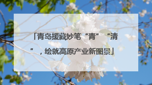 青岛援藏妙笔“青”“清”，绘就高原产业新图景