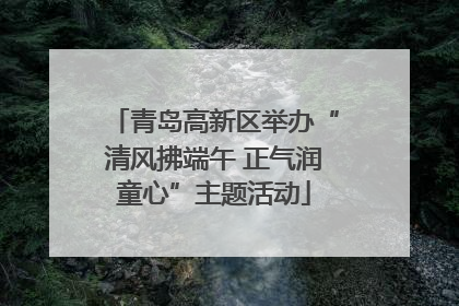 青岛高新区举办“清风拂端午 正气润童心”主题活动