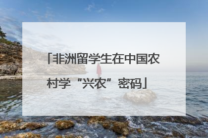 非洲留学生在中国农村学“兴农”密码