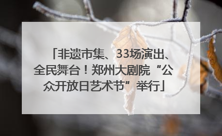 非遗市集、33场演出、全民舞台！郑州大剧院“公众开放日艺术节”举行