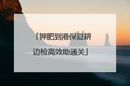 钾肥到港保夏耕 边检高效助通关