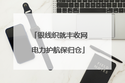 银线织就丰收网 电力护航保归仓