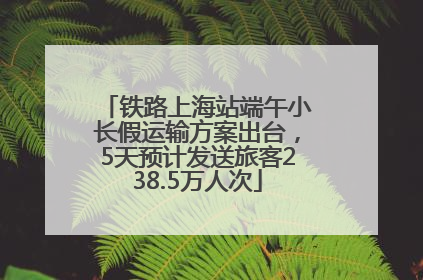 铁路上海站端午小长假运输方案出台，5天预计发送旅客238.5万人次