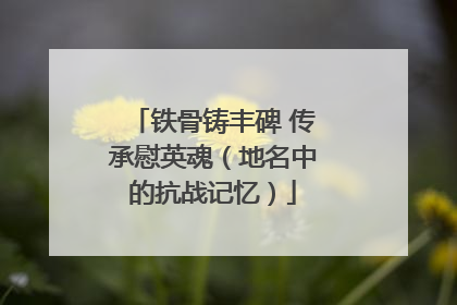 铁骨铸丰碑 传承慰英魂（地名中的抗战记忆）