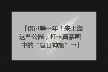 错过等一年！来上海这些公园，打卡莫奈画中的“夏日神颜”→