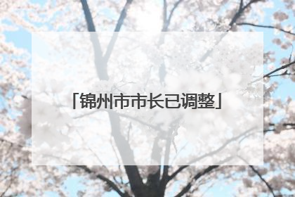 锦州市市长已调整