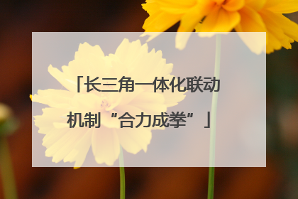 长三角一体化联动机制“合力成拳”