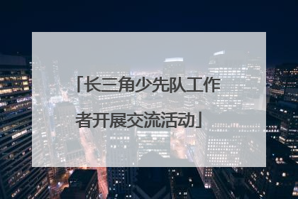 长三角少先队工作者开展交流活动