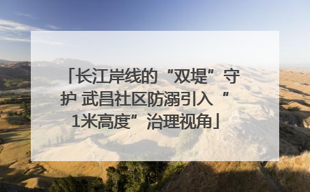 长江岸线的“双堤”守护 武昌社区防溺引入“1米高度”治理视角