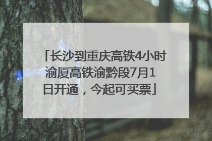 长沙到重庆高铁4小时 渝厦高铁渝黔段7月1日开通，今起可买票
