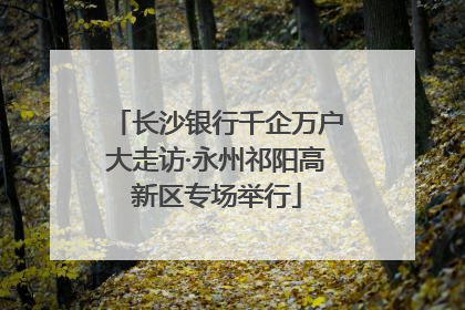 长沙银行千企万户大走访·永州祁阳高新区专场举行