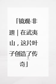 镜观·非遗｜在武夷山，这片叶子创造了传奇