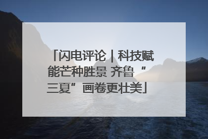 闪电评论｜科技赋能芒种胜景 齐鲁“三夏”画卷更壮美