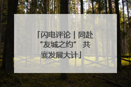 闪电评论｜同赴“友城之约” 共襄发展大计
