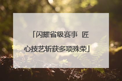 闪耀省级赛事  匠心技艺斩获多项殊荣
