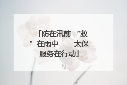 防在汛前 “救”在雨中——太保服务在行动