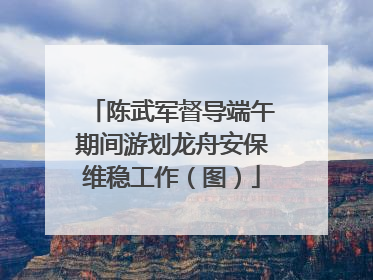 陈武军督导端午期间游划龙舟安保维稳工作（图）