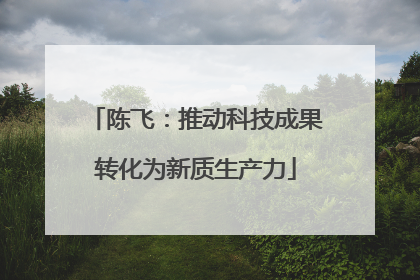 陈飞：推动科技成果转化为新质生产力