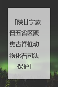 陕甘宁蒙晋五省区聚焦古脊椎动物化石司法保护