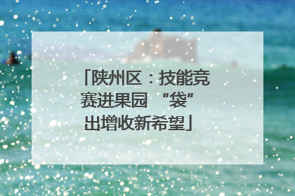 陕州区：技能竞赛进果园 “袋”出增收新希望
